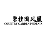 碧桂园凤凰